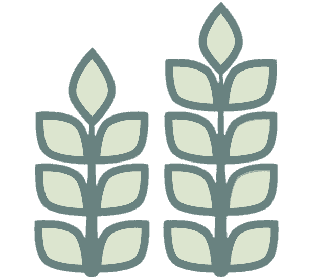 Agriculture information for crops technology, animals,land management