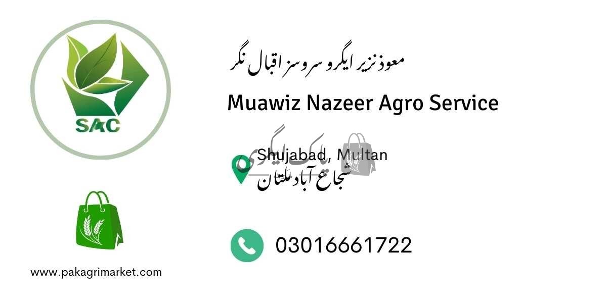 معوذ نزیر ایگرو سروسز اقبال نگر شجاع آباد-پاک اگری مارکیٹ